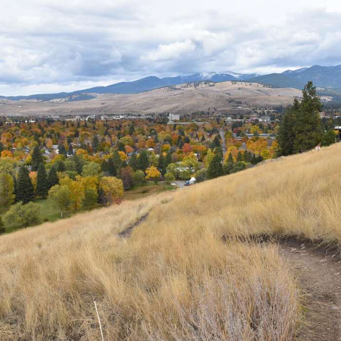 Near Pengelly Trail to Sentinel Summit