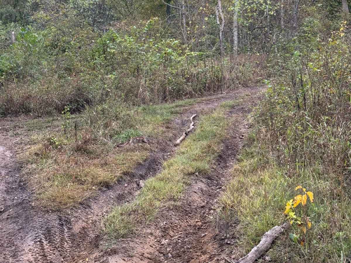Critter Cutoff trail photo