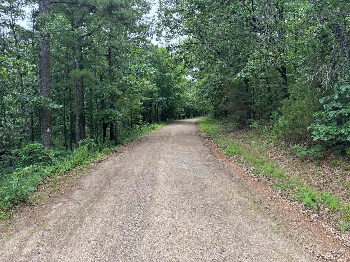 Big Flat trail photo