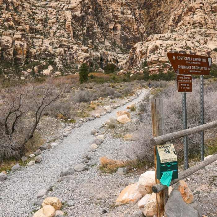 Near Lost Creek Canyon Falls