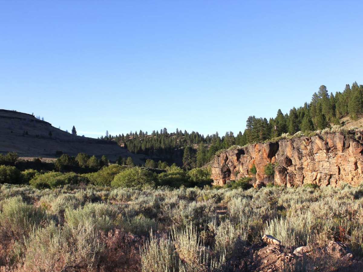 Burnt Basin trail photo