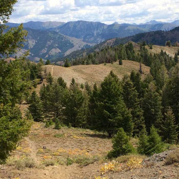 Near Upper Oregon Gulch (Edge of the World)