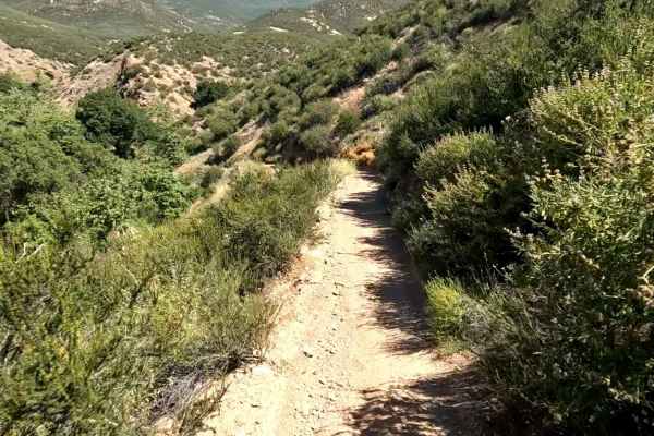 Flat OHV Trail