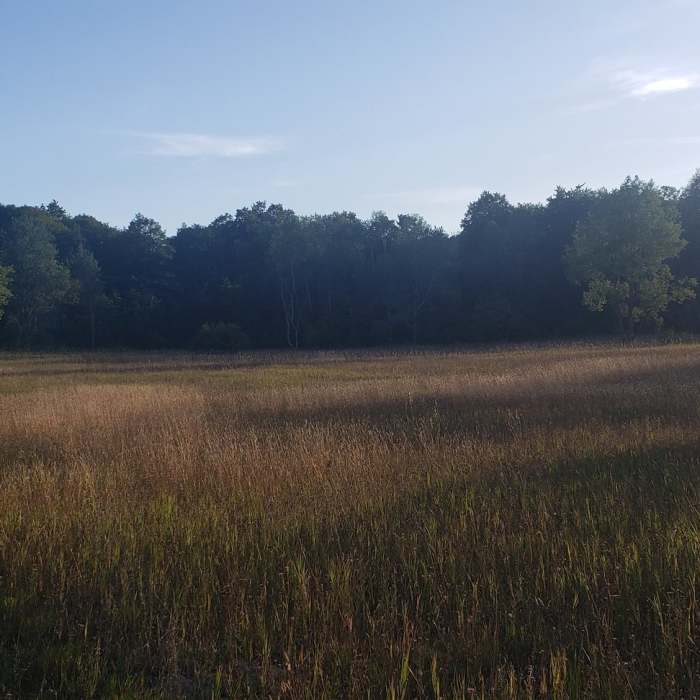 Near Jordan Valley Loop