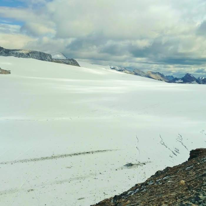 Reef Icefiled looking southeast from Snowbird Pass. Reef Glacier flows southeast down off the edge on the right center of the picture. Steppe Glacier also flows southeast in the upper center of the picture. Near Snowbird Pass Route
