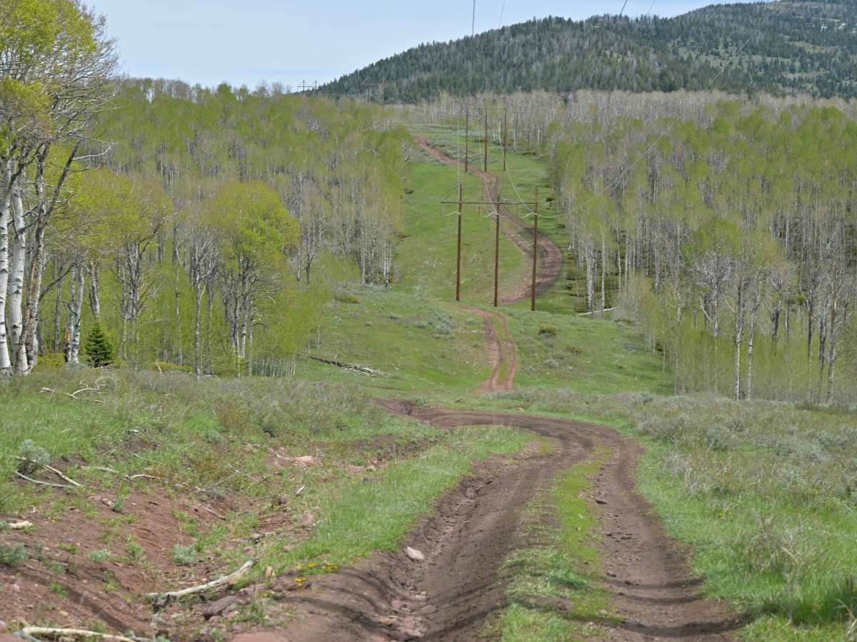 Power Line - FS 10574 photo 3