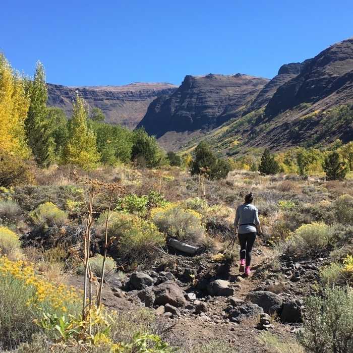 Near Big Indian Gorge Trail