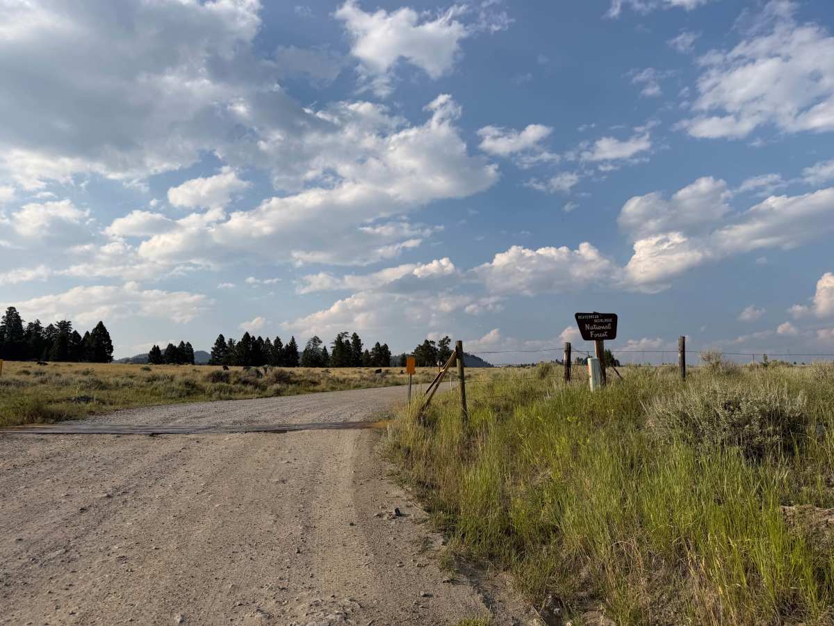 Toll Mountain Road photo 4