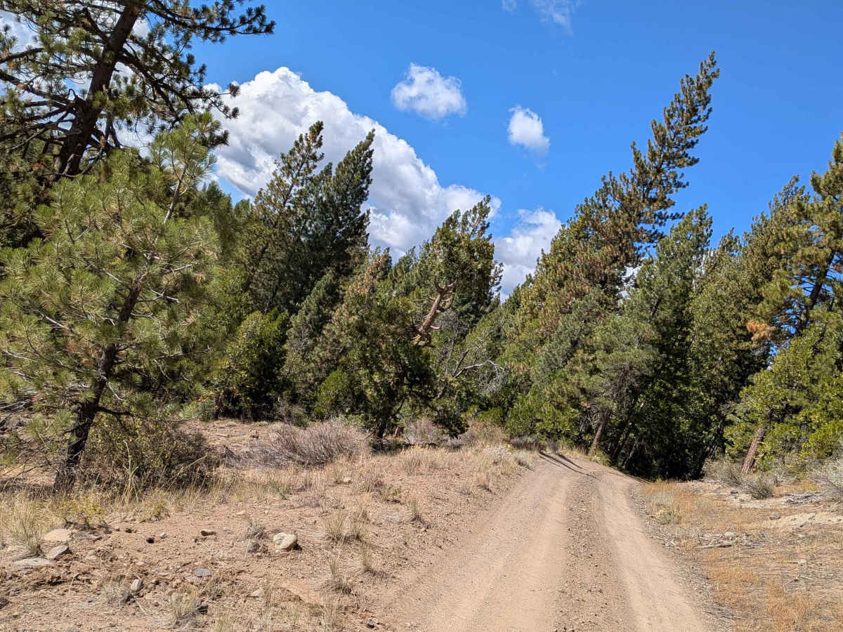 FS 5N12 trail photo