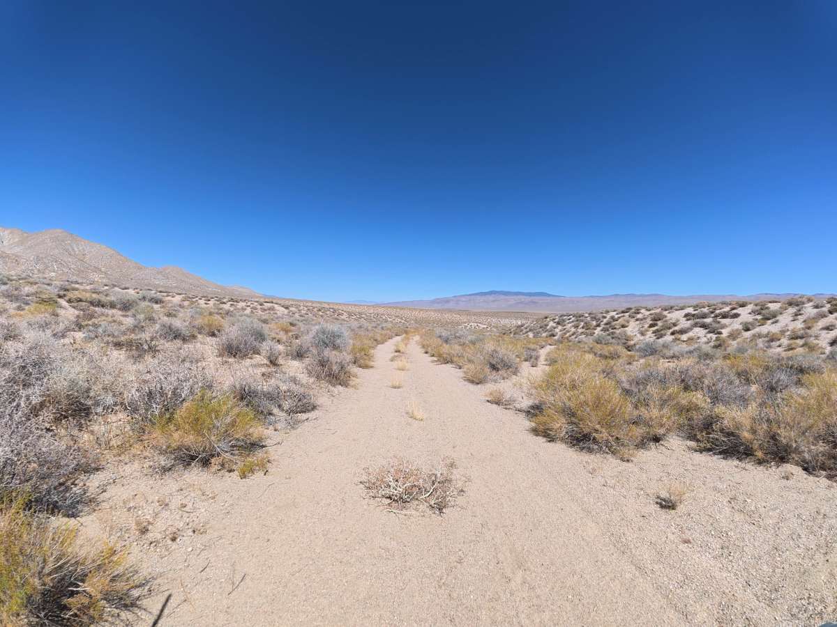 BLM 544 photo 5