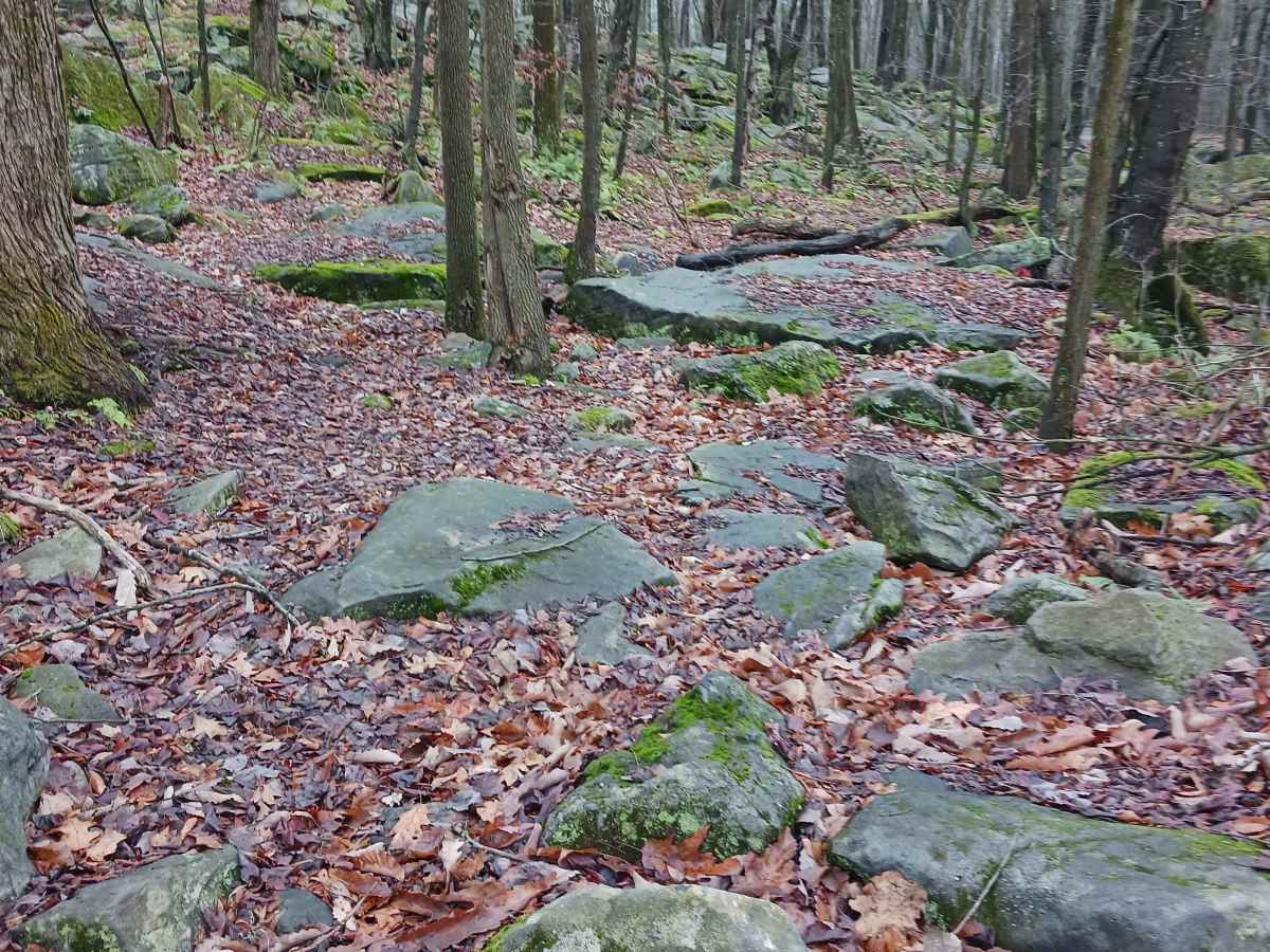 OHV 30 - Rock Run Recreation Area trail photo