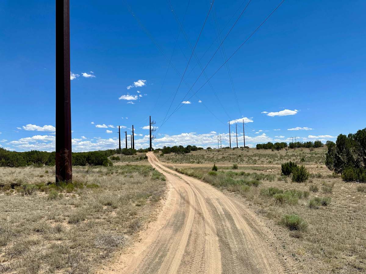 Dead Dog Trail Offshoot trail photo