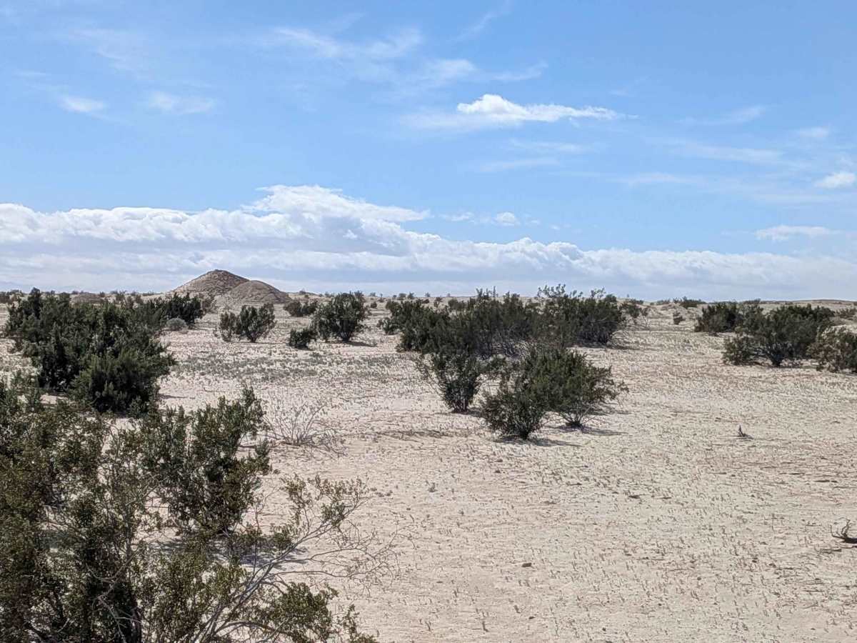 BLM 414 photo 4