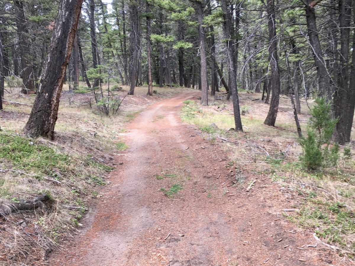 Little Galena Trail photo 2