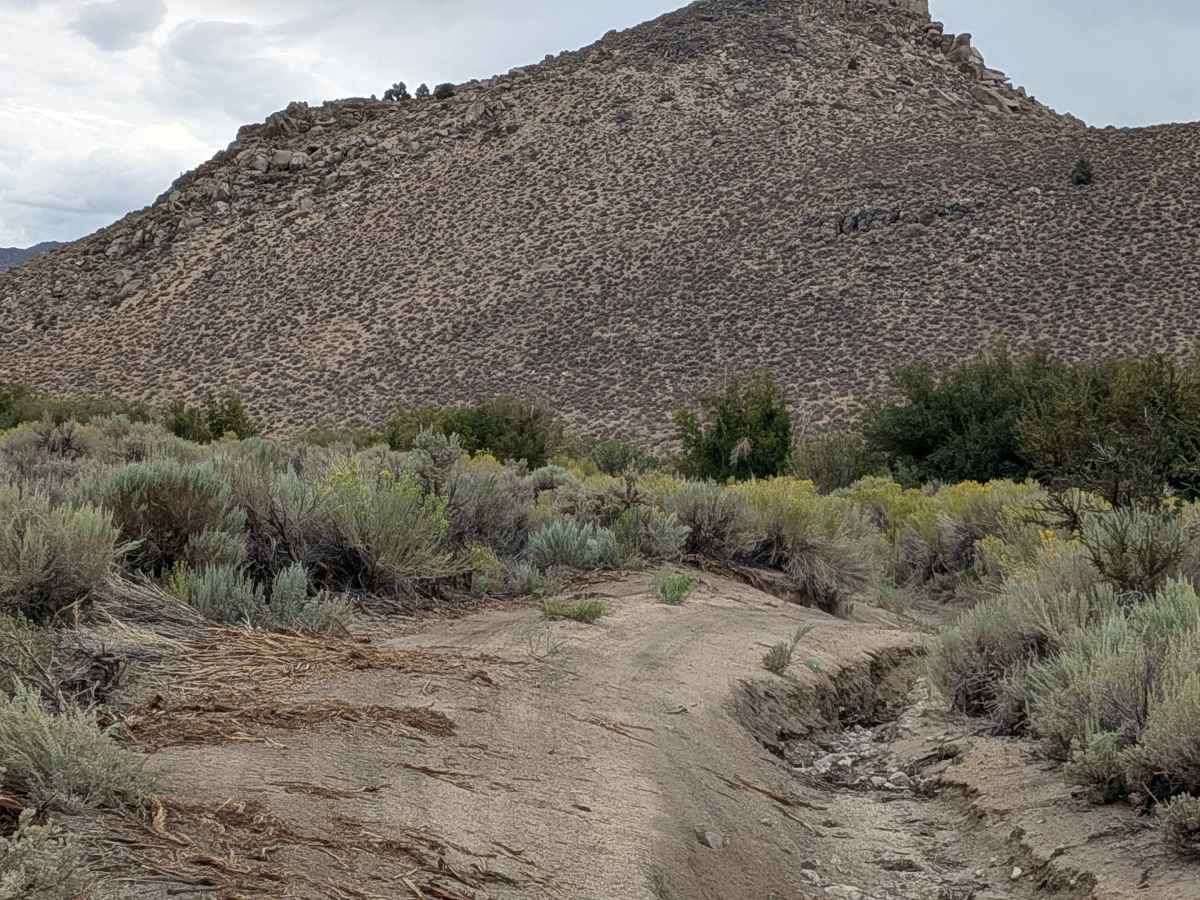 Lucky Strike Mine - FS 7S105 trail photo