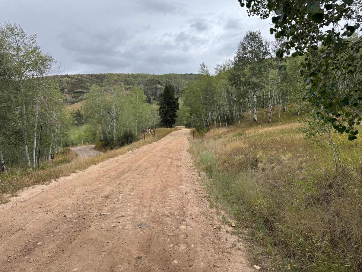 Lenado Road trail photo