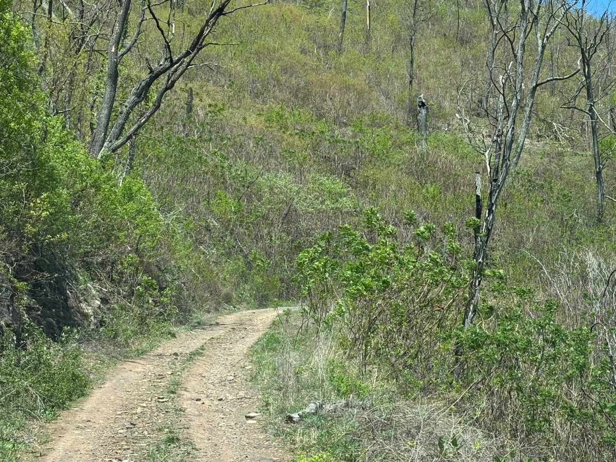 Hite Hollow photo 4