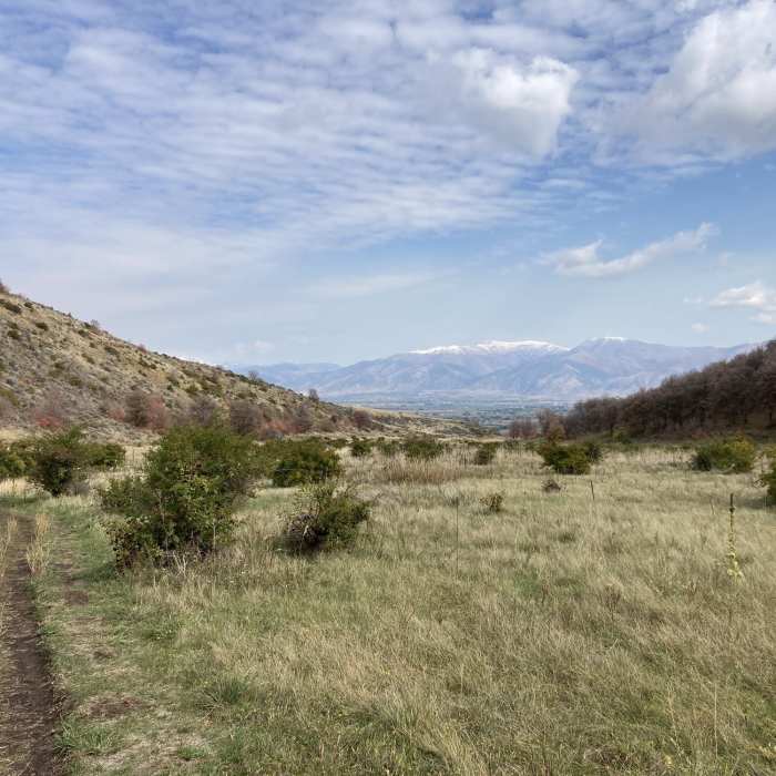 Near Narrow Canyon