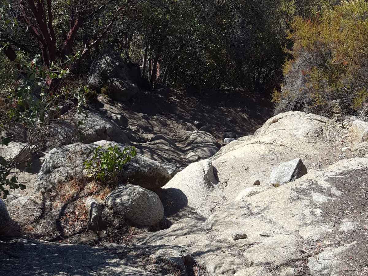 Sodbuster - Trail 9 photo 6