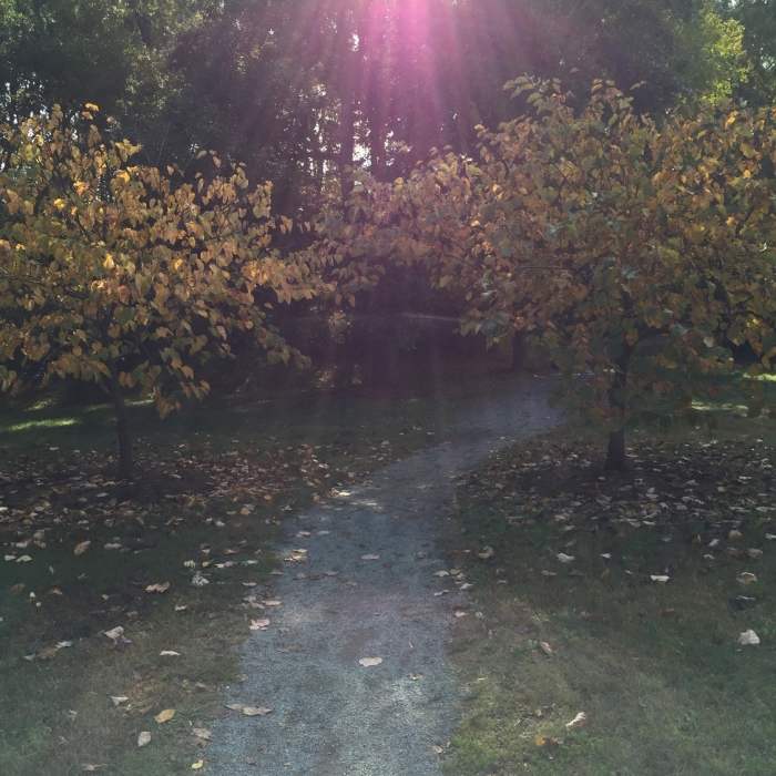 Near Battle Branch / Bolin Creek Loop