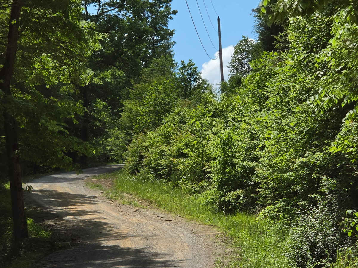 Cool Springs Road photo 5