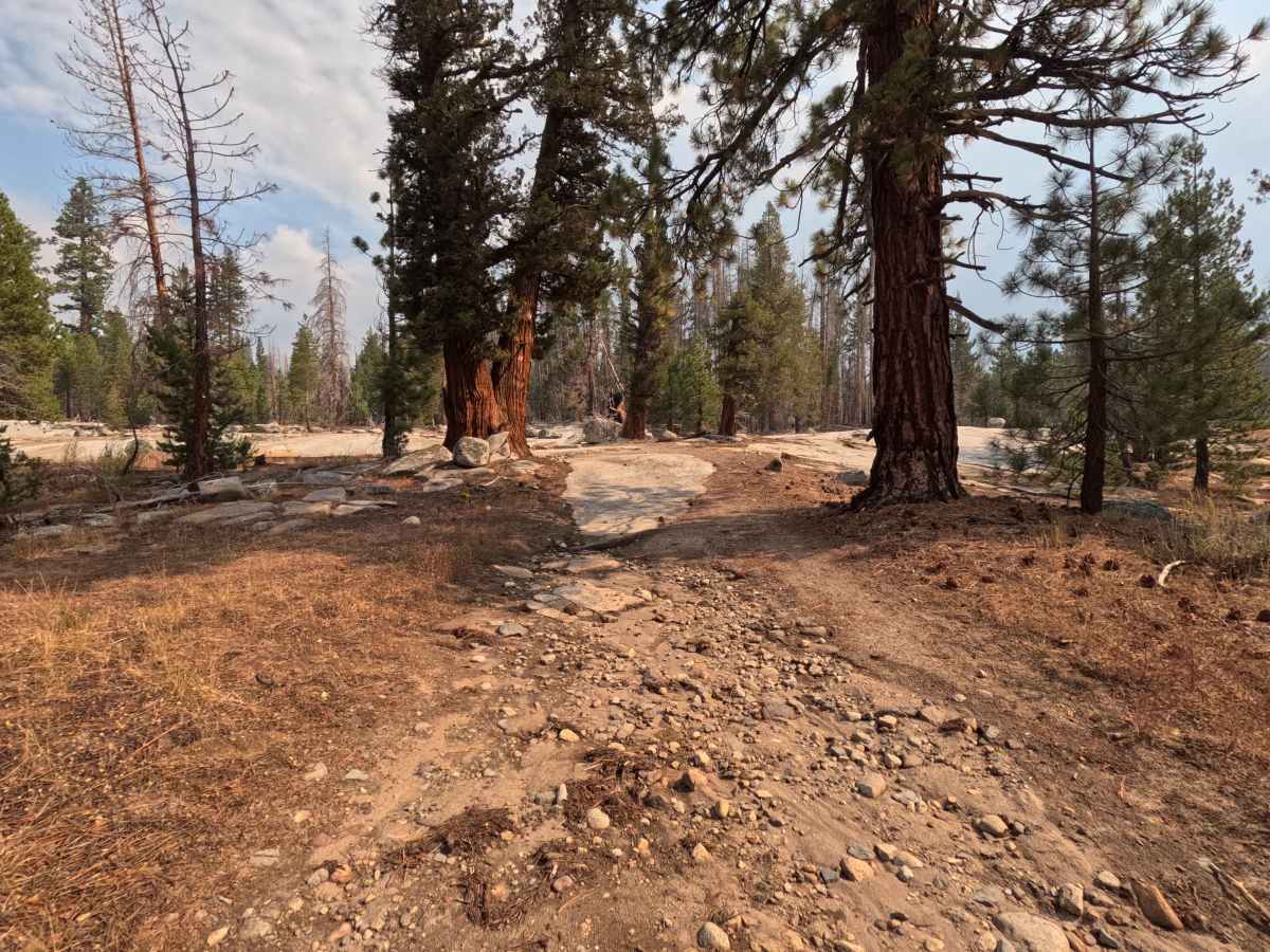 Onion Springs - FS 27E223 photo 3