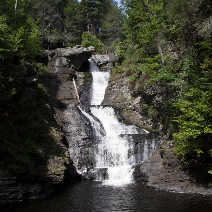 Raymondskill Falls end of summer. Near Raymondskill Creek Trail