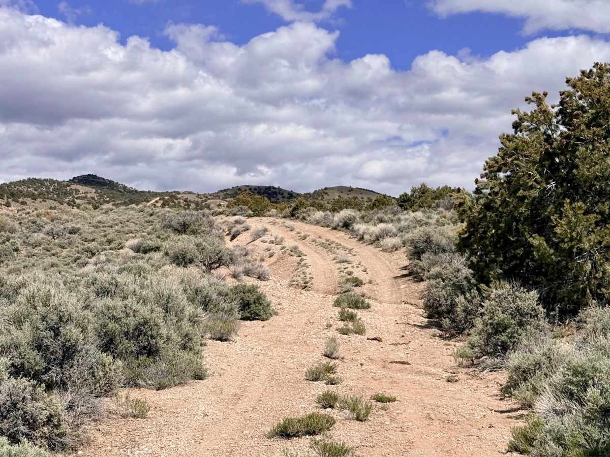 Willow Springs Bypass - FS 44429 photo 6