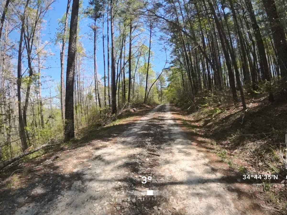 Forest Road 748B photo 2