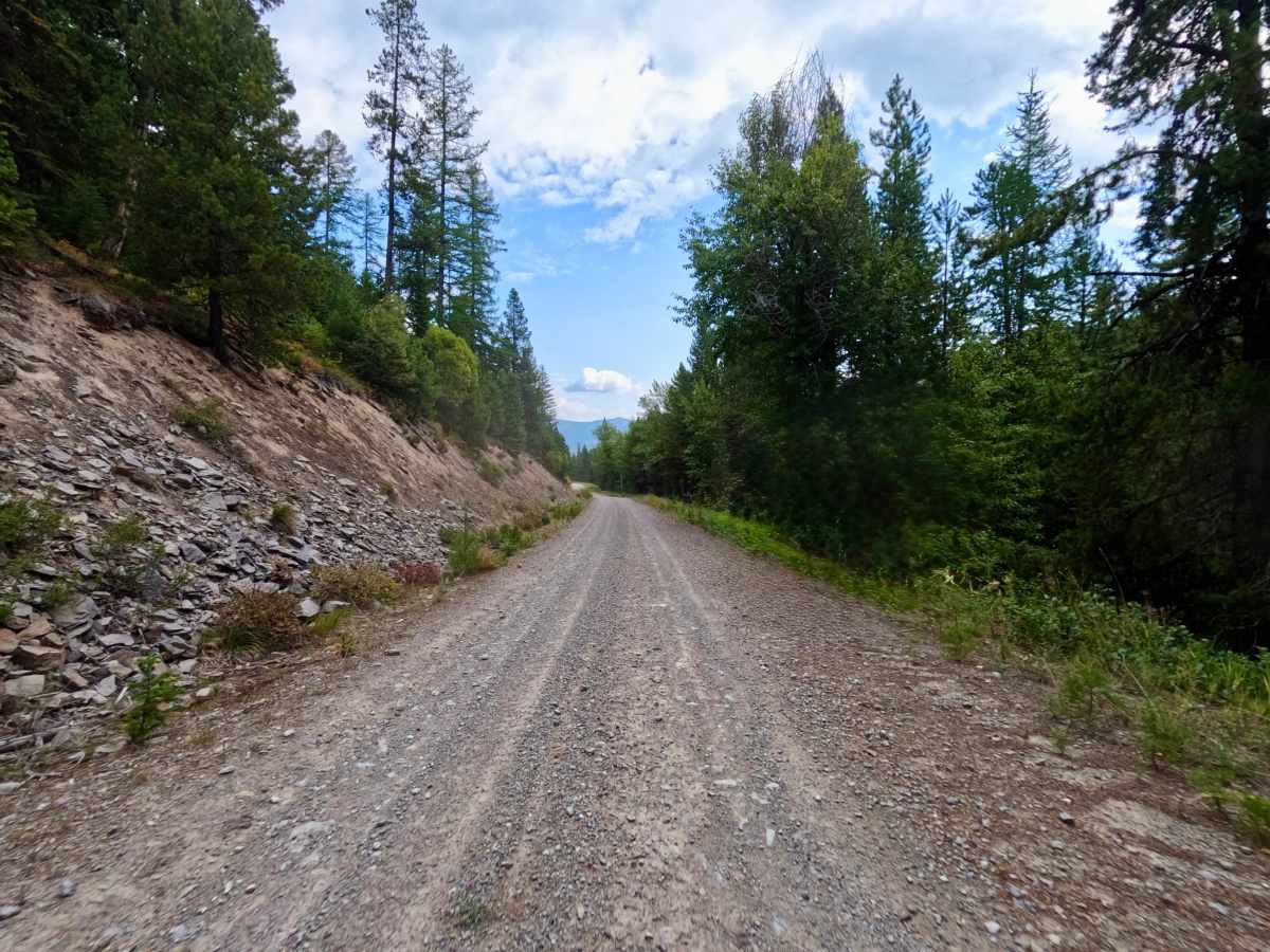 West Side Nine Mile Road photo 3