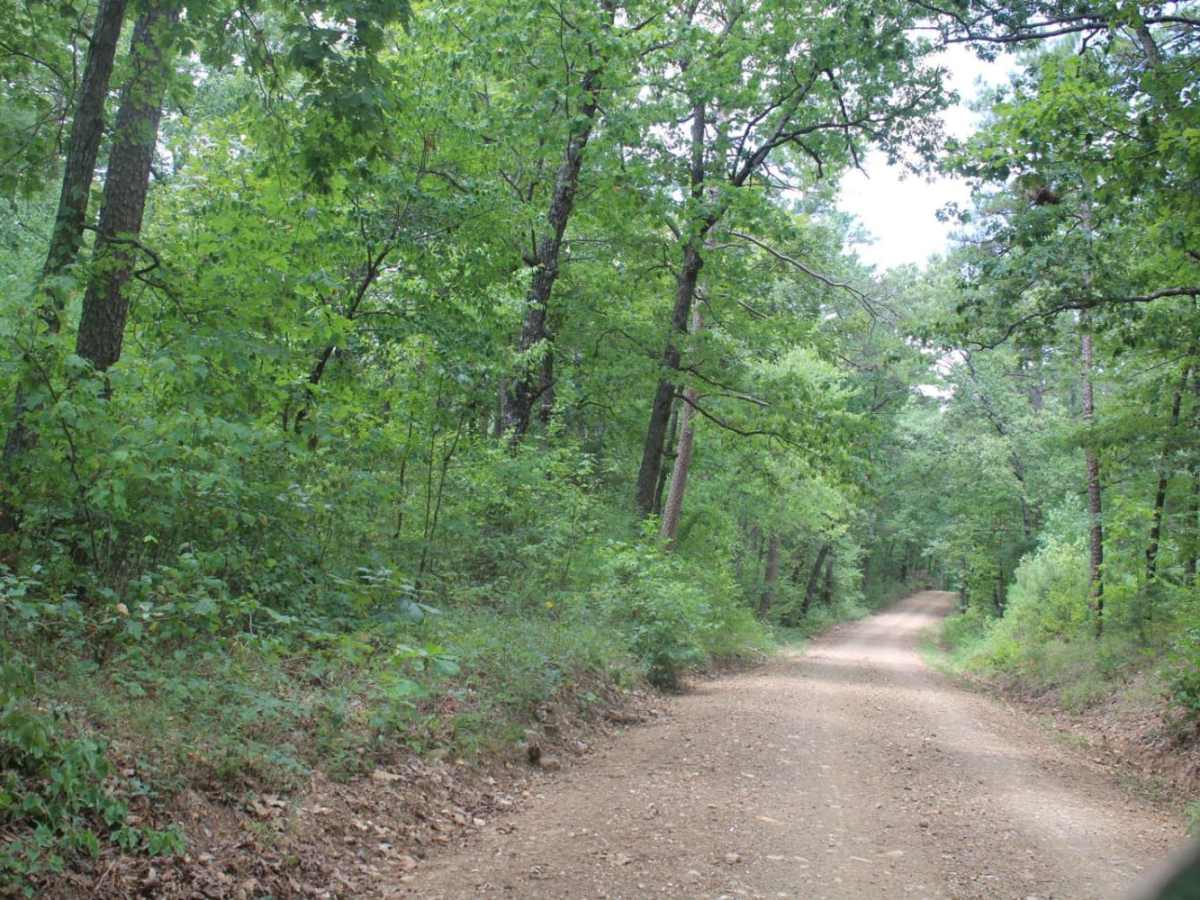 Polk 410 Stream & Camp photo 6