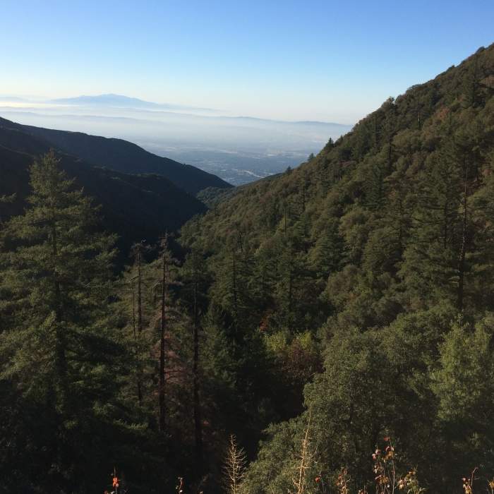 Amazing view coming up Mount Wilson Near Mt. Wilson Trail #11W22
