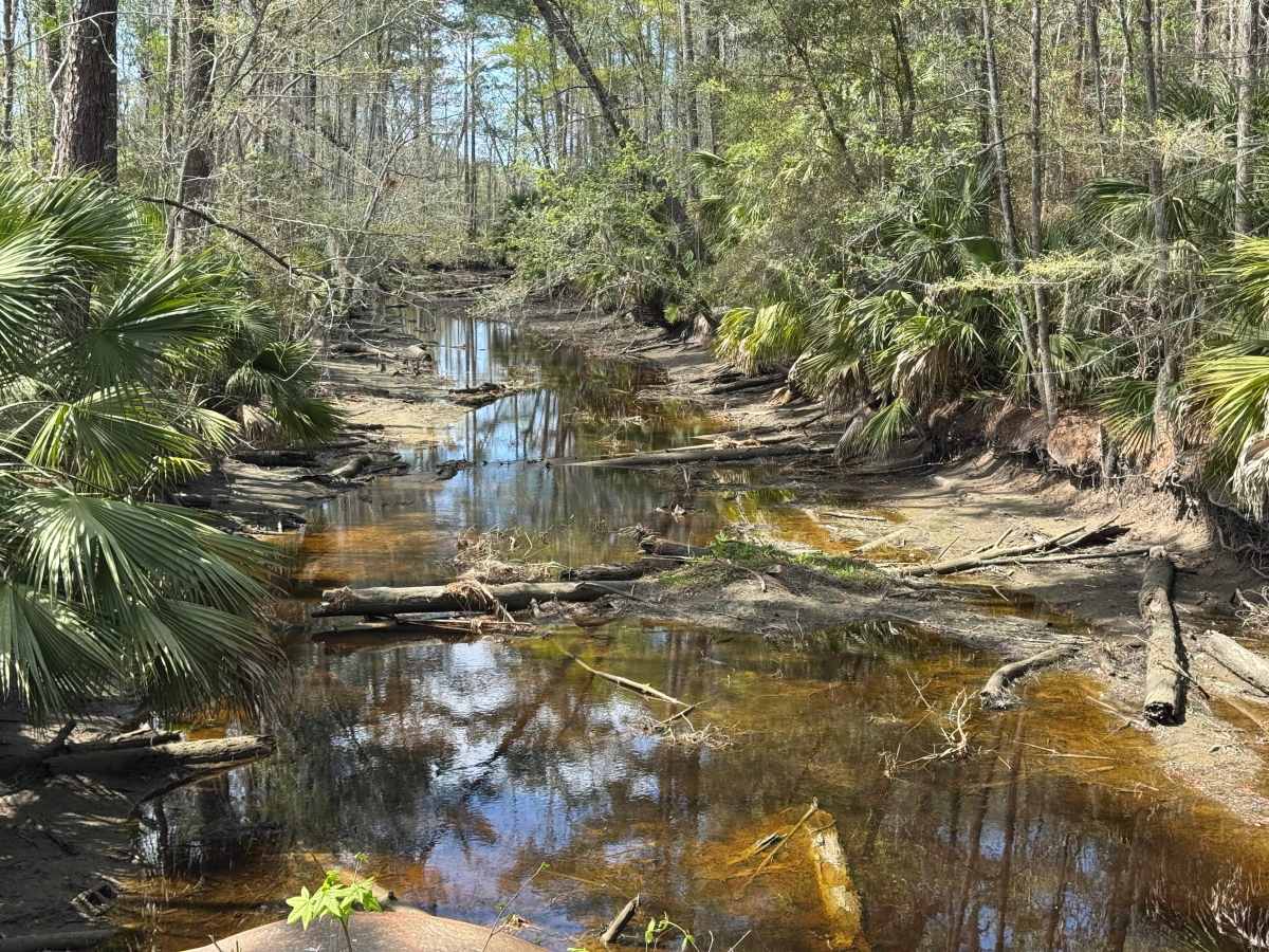 Blount's Crossing photo 3