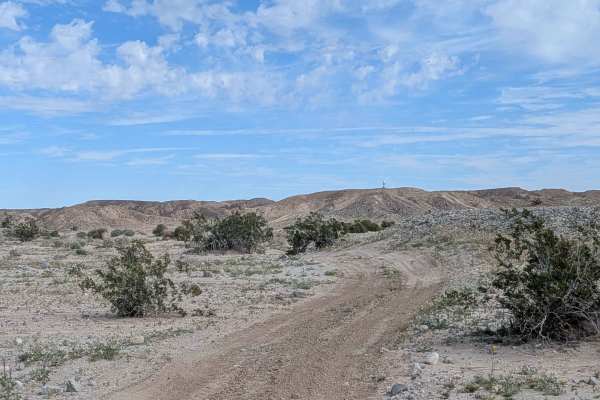 BLM 063