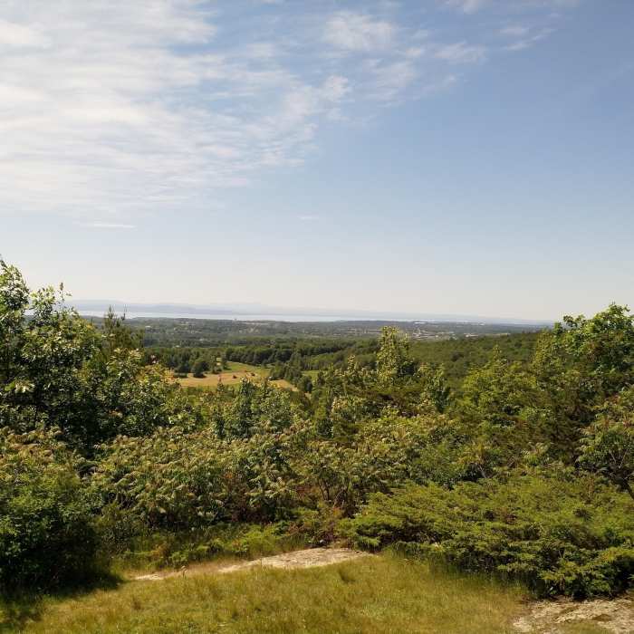 Near Sucker Brook Hollow Trail