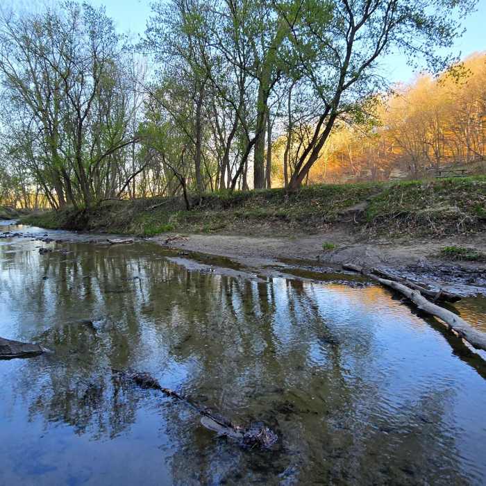 Near Ledges Canyon Trail: Alternate Route
