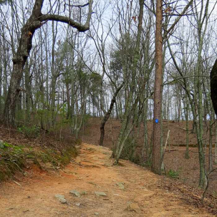 Near Indian Seats Loop