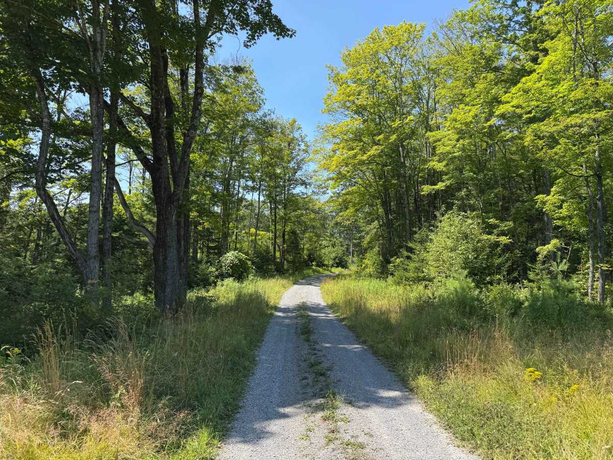 Burnt Hill Road photo 3