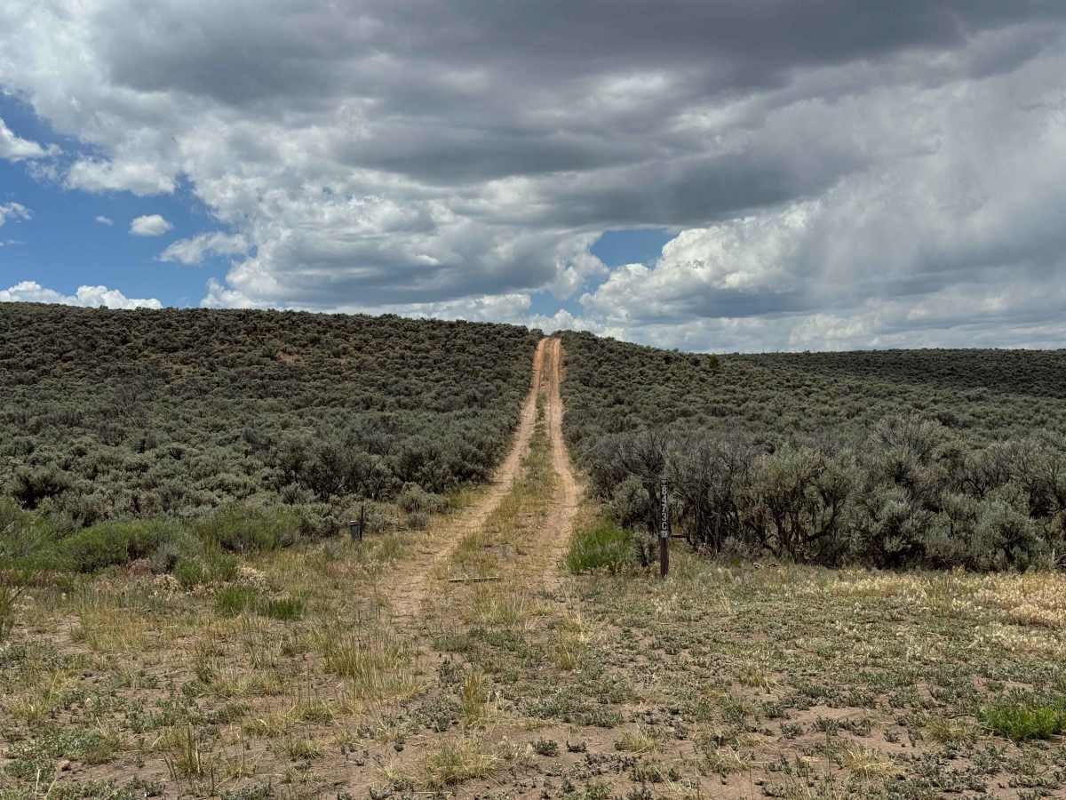 BLM 8473C trail photo