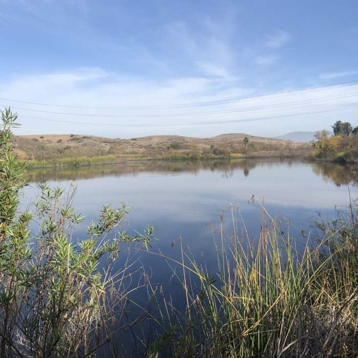 Near James Dilley Preserve Combo