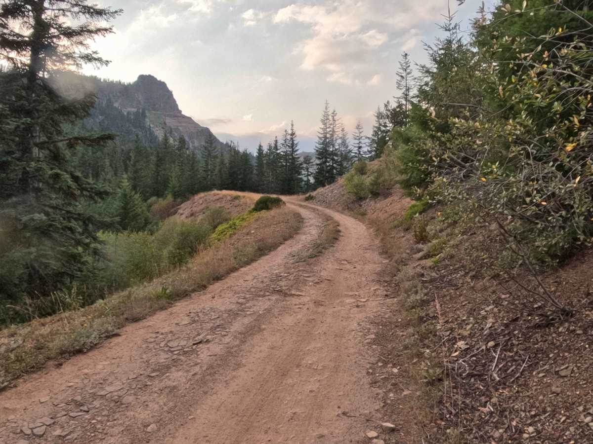 Coffin Mountain Road - FS 1168430 trail photo