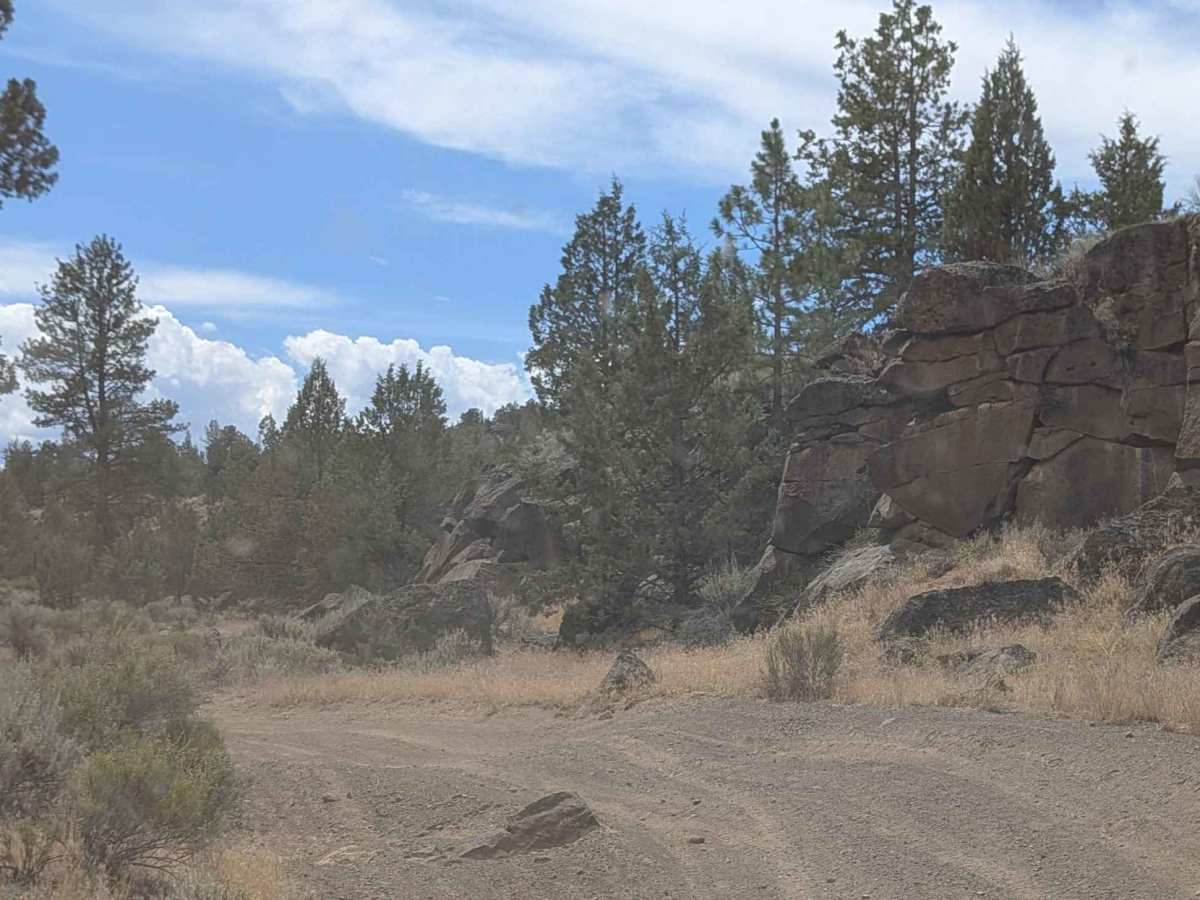 Cline Buttes OHV Trail 23 photo 6