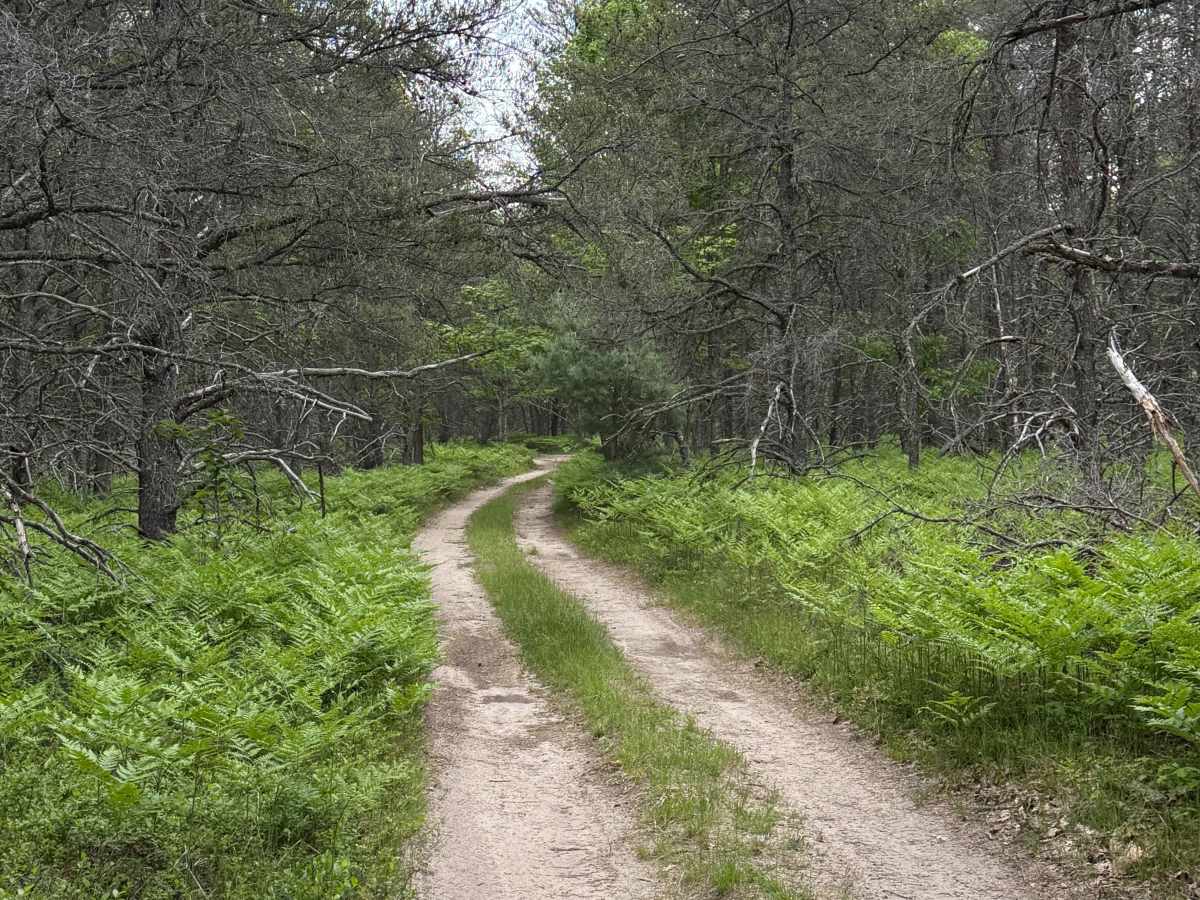 Twisters Trail trail photo