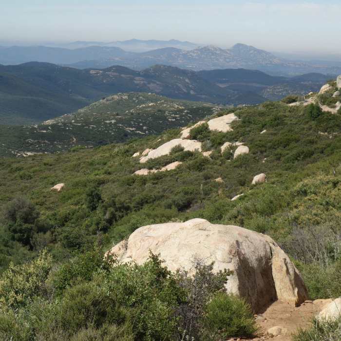 Near Oakzanita Summit Trail