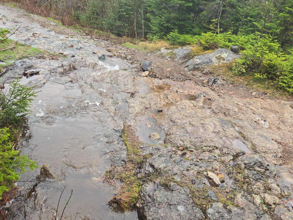 Little Snare Lake Trail photo 3