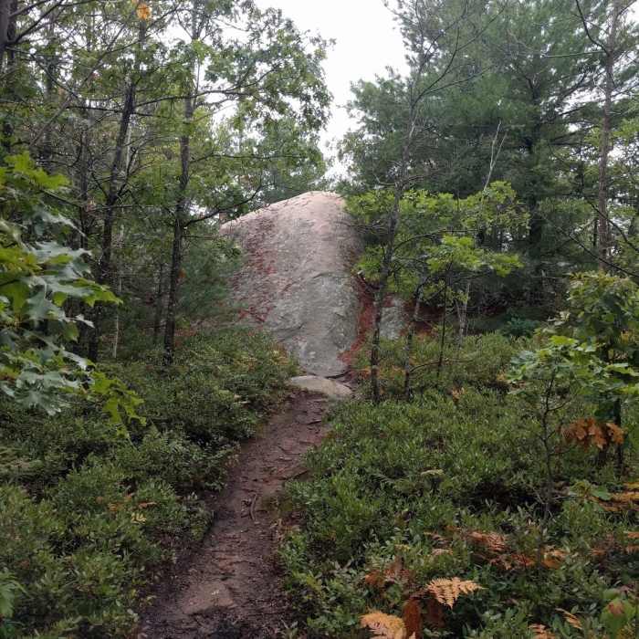 Duke's Memorial to the right. Near Deep Woods Trail East