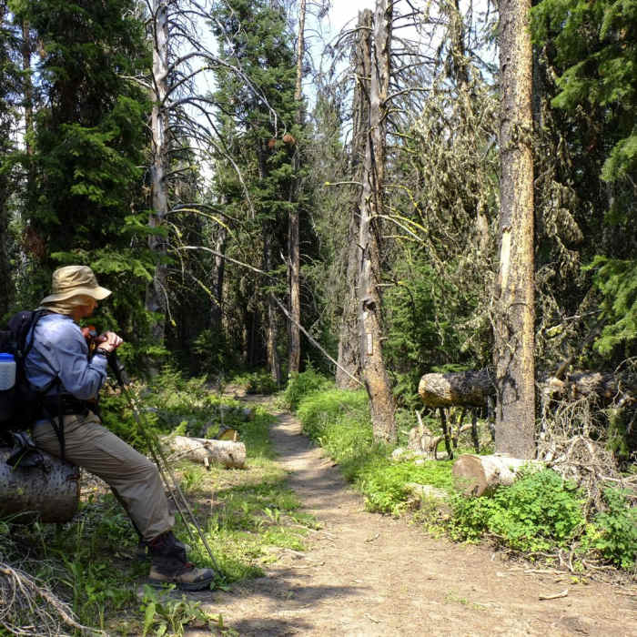 Near Cinnamon Mountain Lookout