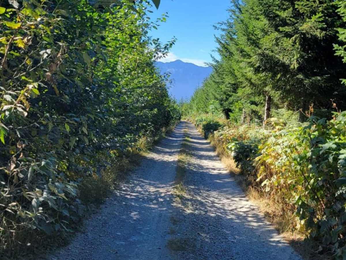 North Mountain Trail trail photo