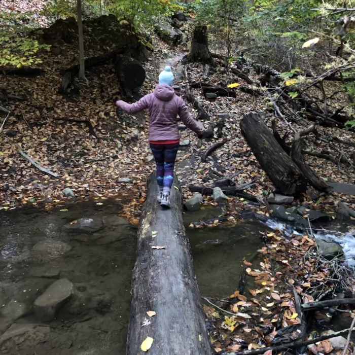 Near Reservation 630 Trail