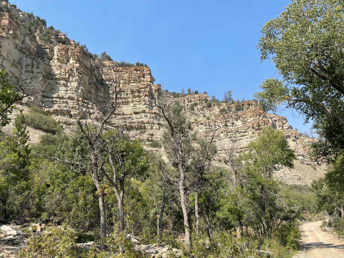 Timber Canyon Trail photo 6